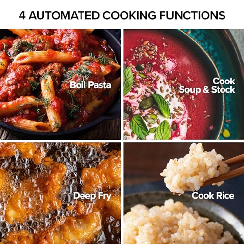Upgraded Induction Cooktop with Patented Digital Temp Probe (PIC Titanium)