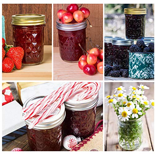 Mason Jars 8 oz (8 oz- 24 Pack)