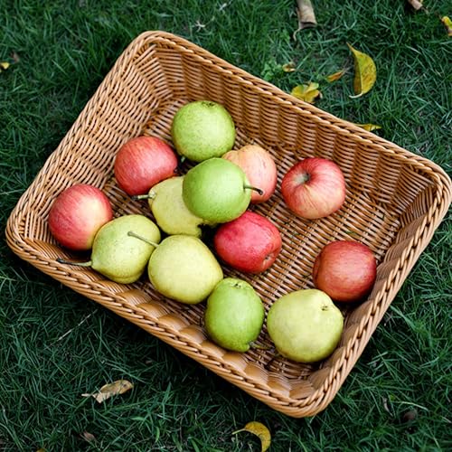 14 "bread basket