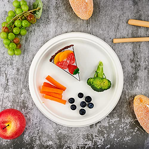 150 Pack Compostable Disposable Paper Plates 10.25 inch Super Strong Paper Plates 100% Bagasse Natural Biodegradable Eco (White / Contemporary)