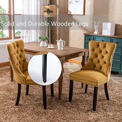 Gold Velvet Dining Chairs Set of 4 (Glod)