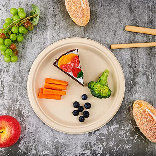 150 Pack Compostable Disposable Paper Plates 10 inch Super Strong 100% Bagasse Natural Biodegradable Eco (Nature / 10 IN Round Plates)