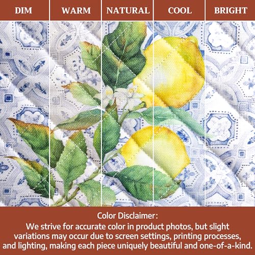 Pot Holders 100% Cotton Potholders (030 - Citrus / 8" x 8" (Pot Holder Pack of 1))