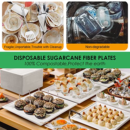 Compostable Square Paper Plates 10 Inch 100 Pack Disposable Plates (White / 10-inch 100 pack)
