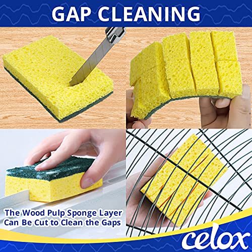 36 Pack Dish Sponge for Kitchen (36 Count)
