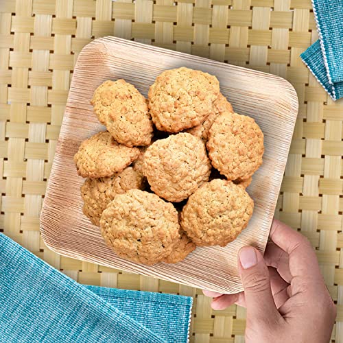 Raj Leaf Disposable Heavy Duty 6" Square Plates 200 Pack (200 / 6" Square Plates)