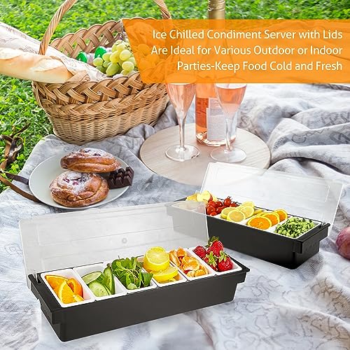 Ice Chilled Condiment Caddy with 6 Removable Trays and Lid (6 Compartment, 2 Pack)