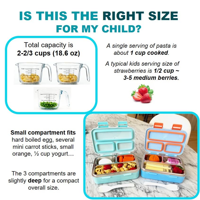 Small Stainless Steel Bento Box Lunch Container Baby Toddlers