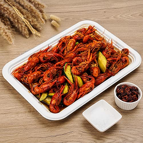 50Pack 14" Heavy Duty Disposable Rectangle Food Trays (White / 14in(50count))