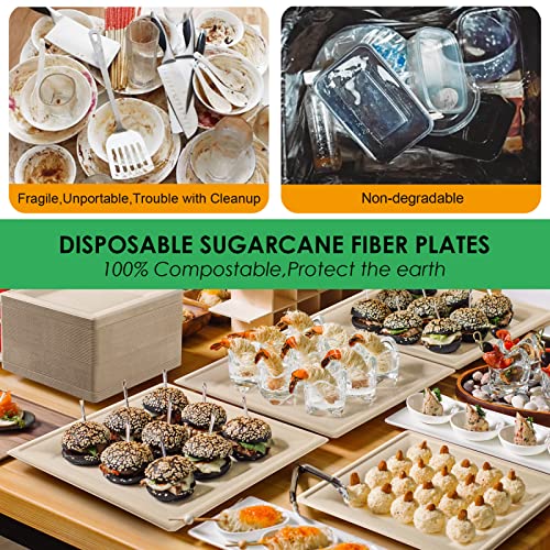 Compostable Square Paper Plates 10 Inch 100 Pack Disposable Plates (Brown / 10-inch 100 pack)