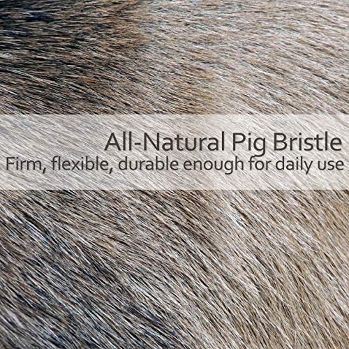 Natural Pig Bristle Pastry Brush with Untreated Beechwood Handle for Basting (Pastry Brush)