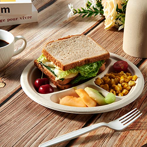 Compostable Paper Plates (3 Compartment 9 inch Nature)