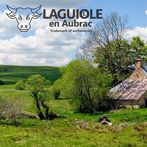 Laguiole en Aubrac corkscrew sommelier waiters knife 3 functions SOM99PMI malachite handle