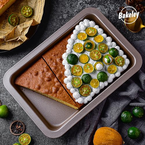 10 Inch Rectangular Baking Pan 2 Pack Carbon Steel Tray for Oven Roasting (10" Shallow Rectangle 2Pcs)