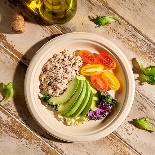 100% Compostable Paper Plates 150 Pack (10 Inch)