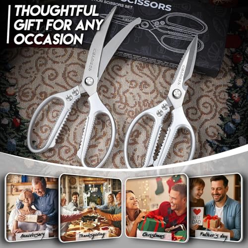 Kitchen Scissors Shears Set (Silver)