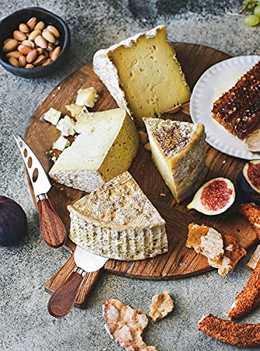Exquisite 6 Piece Cheese Knives Set (6-Piece Set Gift)