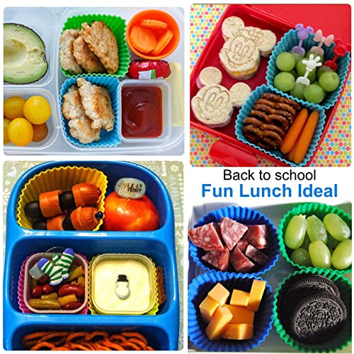 40 Pcs Silicone Lunch Box Dividers (‎Multicolor-40pcs)