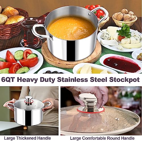 6QT 18 10 Stainless Steel Stockpot with Lid (6 Quarts)