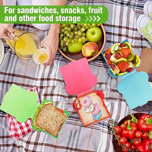 20 Oz Sandwich Containers for Kids (4 Colors)