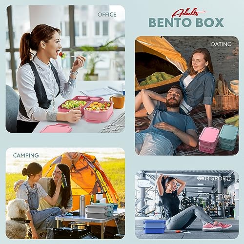 Bento Box Adult Lunch Box