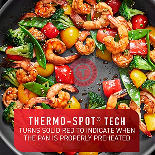 Platinum Nonstick Jumbo Cooker 5 Quart Induction Oven Broiler Safe 500F Cookware (Platinum Nonstick)