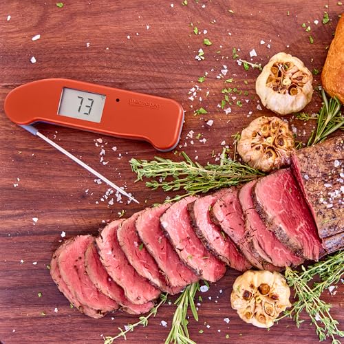Thermapen ONE