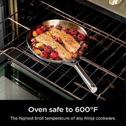 EverClad 10.25" Fry Pan (10.25" Fry Pan)