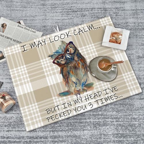 Kitchen Drying Mat Funny Owl Dish Drainer Mat for Kitchen Counter Microfiber Absorbent Reusable Washable 18x24 Inch Home Holiday Decor Cute Buffalo Plaid Drying Pad (Funny Owl / 18 x 24 inch)