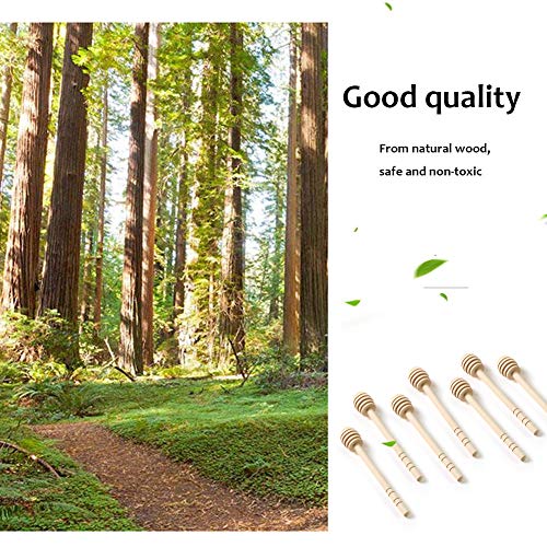 12 Pack Mini Wooden Honey Dipper Sticks (12PACK 6inch)