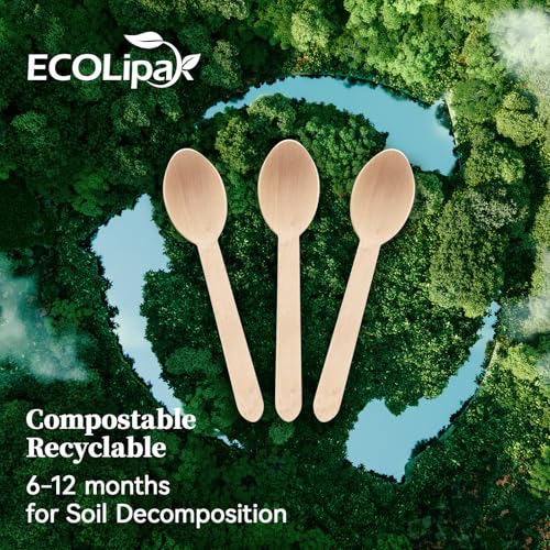 300 Count Compostable Wooden Disposable Spoons for Party (brown-spoons)