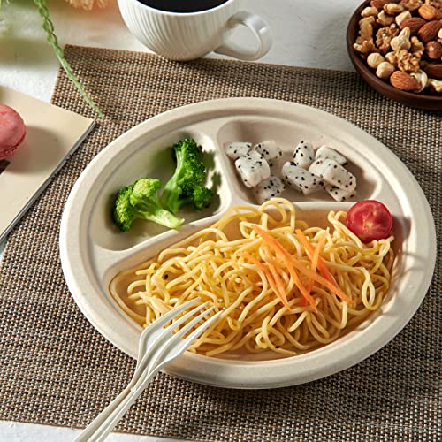 Compostable Paper Plates (3 Compartment 9 inch Nature)