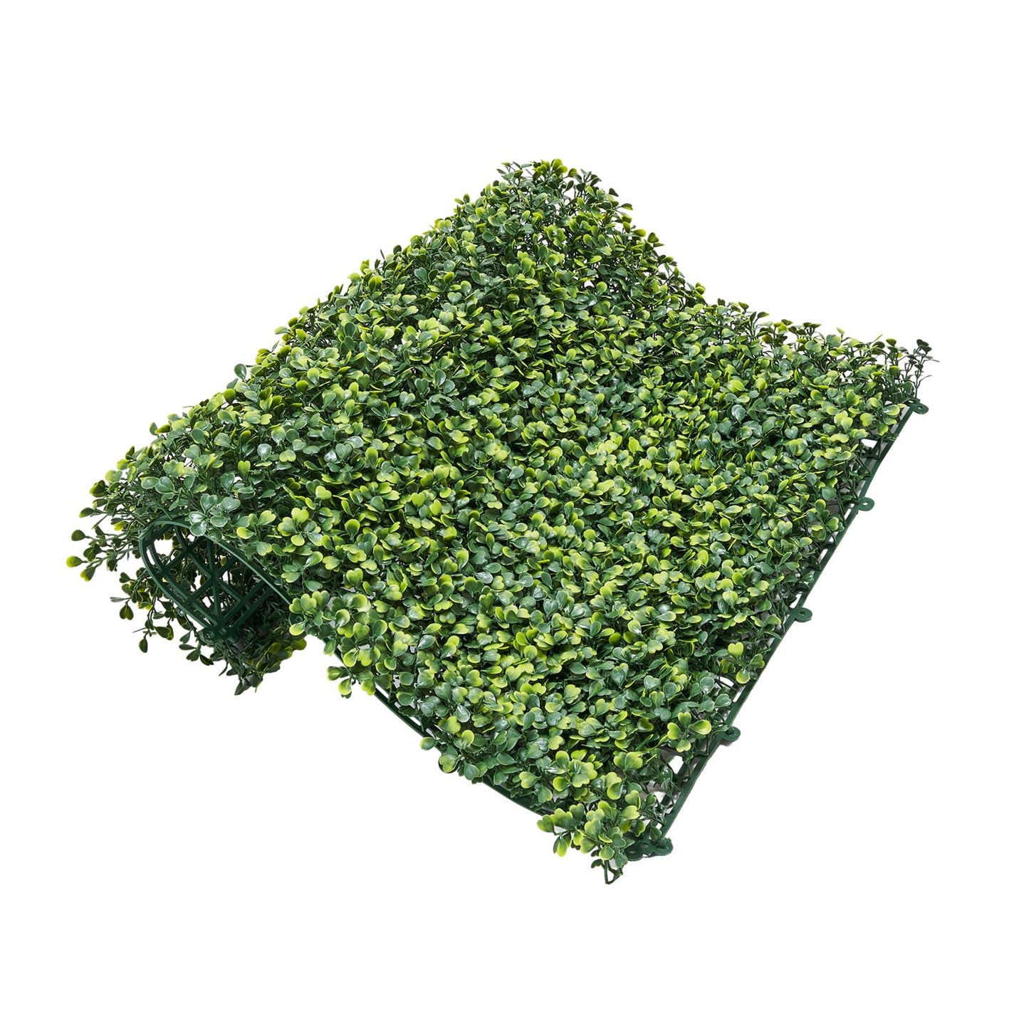 Artificial Grass Wall Panels (Boxwood / 60 x 120 IN)