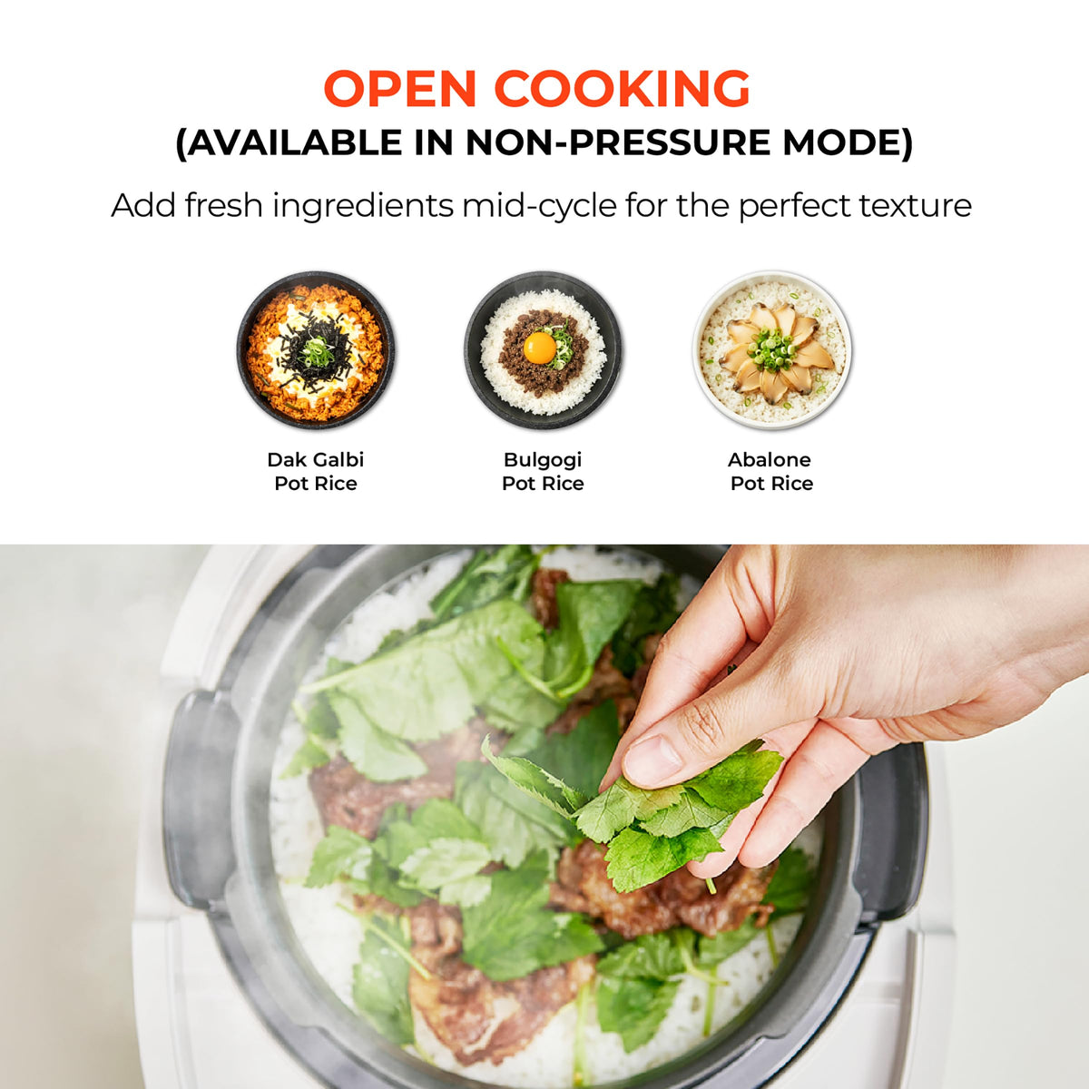 Twin Pressure Induction Rice Cooker