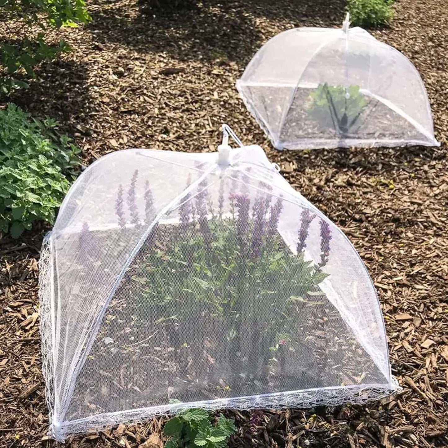 Simply Genius Pop-Up Outdoor Food Covers to Keep Bugs Away - 14 x 14 in, 4 Pack, White - Mesh Food Covers for Picnic & BBQ - Portable Nets for Outside
