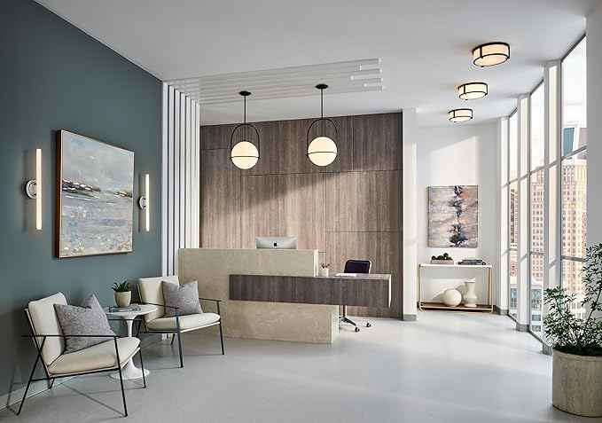 Hinkley Somerset Large Hanging Pendant Light, Etched Opal Glass Globe, for Even or Sloped Ceilings, Customize Installation Height, Black