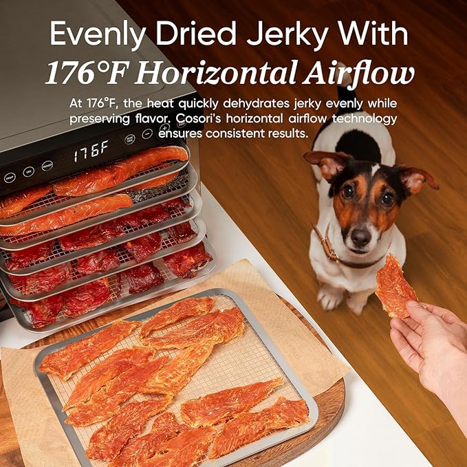 COSORI Food Dehydrator for Jerky, 176°F Temperature Control, 5 Stainless Steel Trays Dryer Machine, 4 Presets, 48H Timer, for Dog Treats, Meat, Fruit, Veggies, Snacks, Bright-Silver