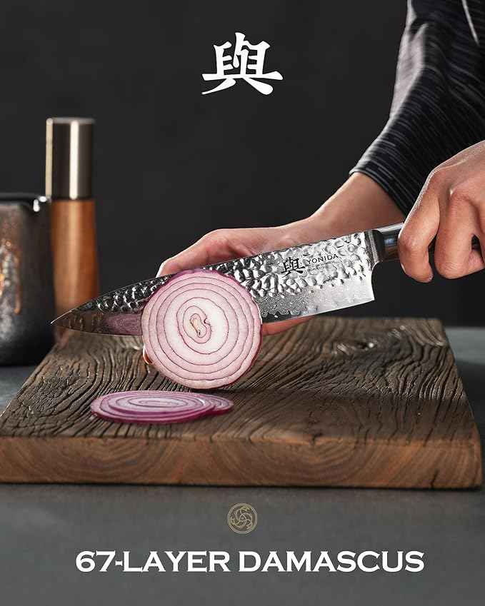 Japanese Chef Knife, 67-Layer Damascus Steel 8.1 Inch Kitchen Knife with AUS-10 Core, Professional Hand Forged Gyuto Knife with Gift Box, Ergonomic Handle, Ideal Valentine's Day Gifts for Men Women