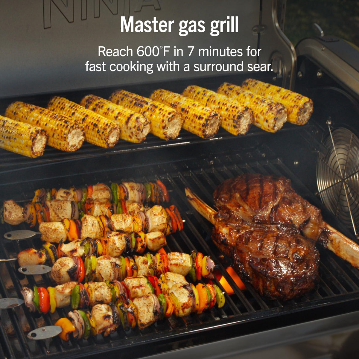 FlexFlame ProConnect Grill & Smoker (Black/Gold)