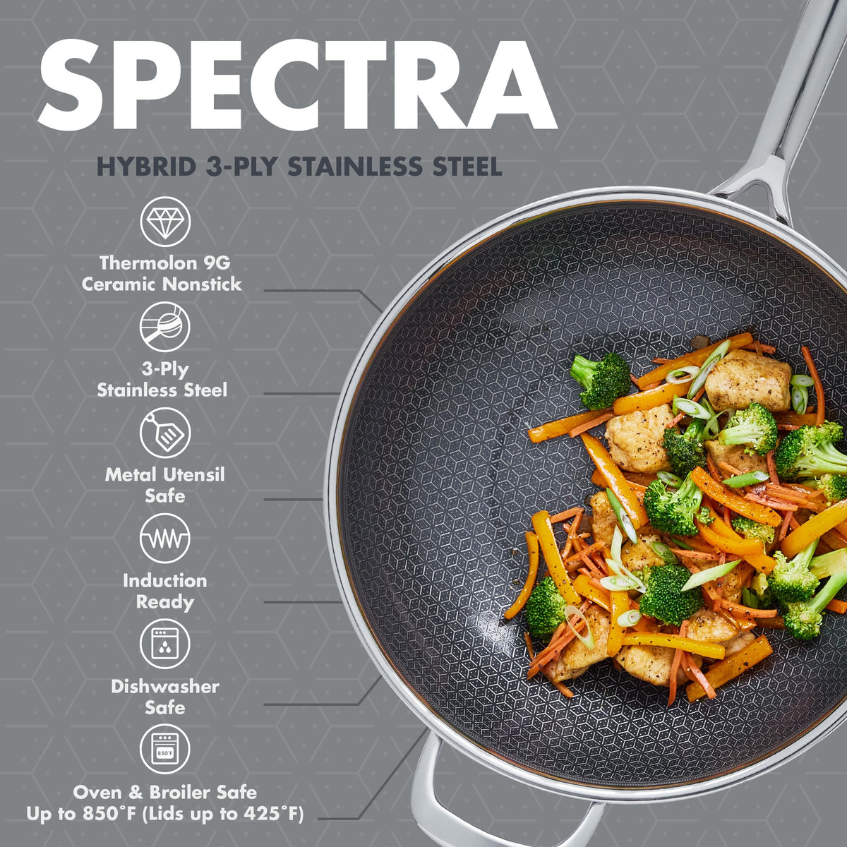 Spectra 12" Wok Pan with Lid (12" Wok Pan with Lid)