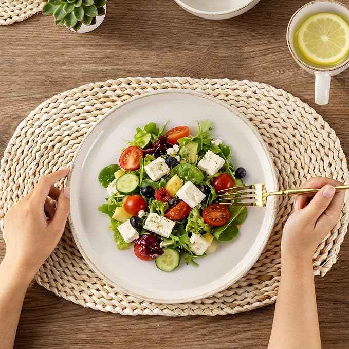 AmorArc Dinnerware Sets with Pasta Bowls for 6, Handpainted Stoneware Plates and Bowls Set with Rustic Terracotta Underside, Scratch Resistant Dishes Set, Dishwasher & Microwave Safe, 24 Pcs