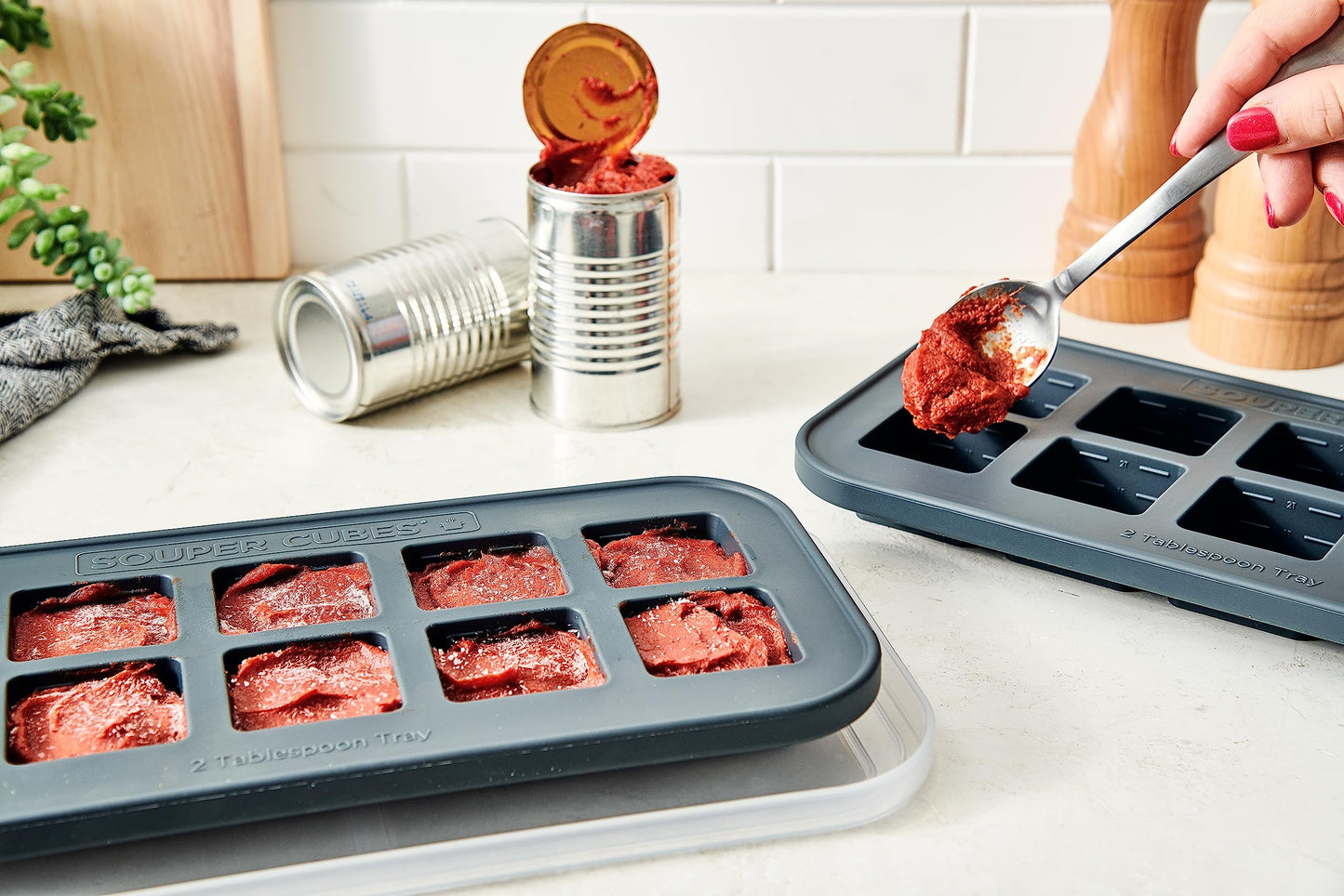 2 Tbsp Silicone Freezer Mold with Lid (1-Pack / Charcoal)