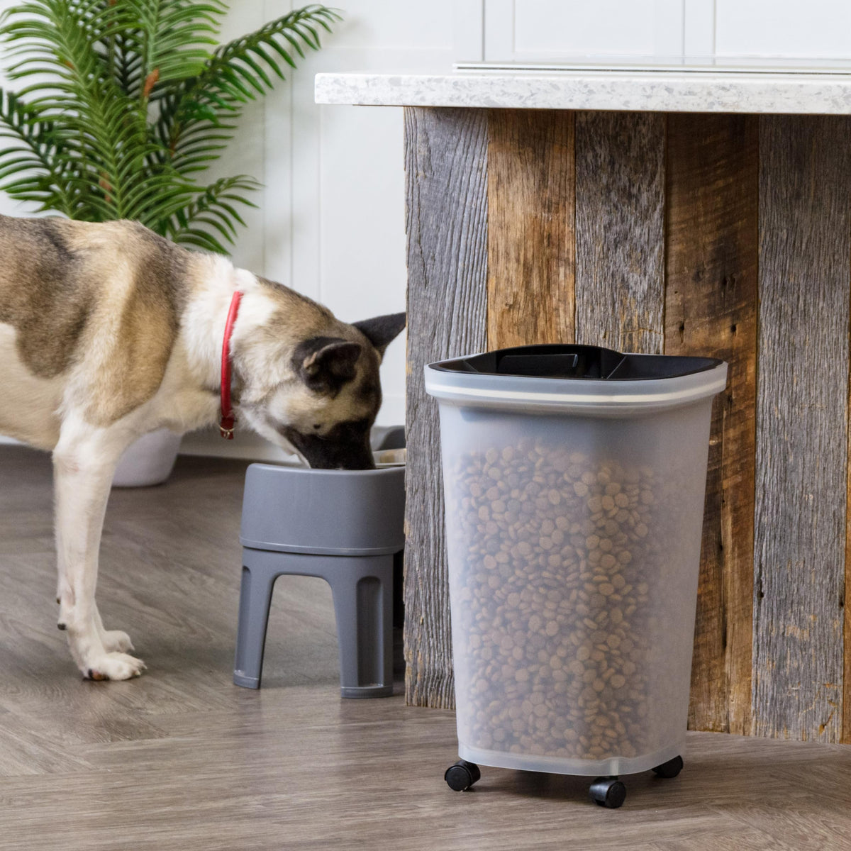 Dog Food Storage Container (25 lbs / Black)
