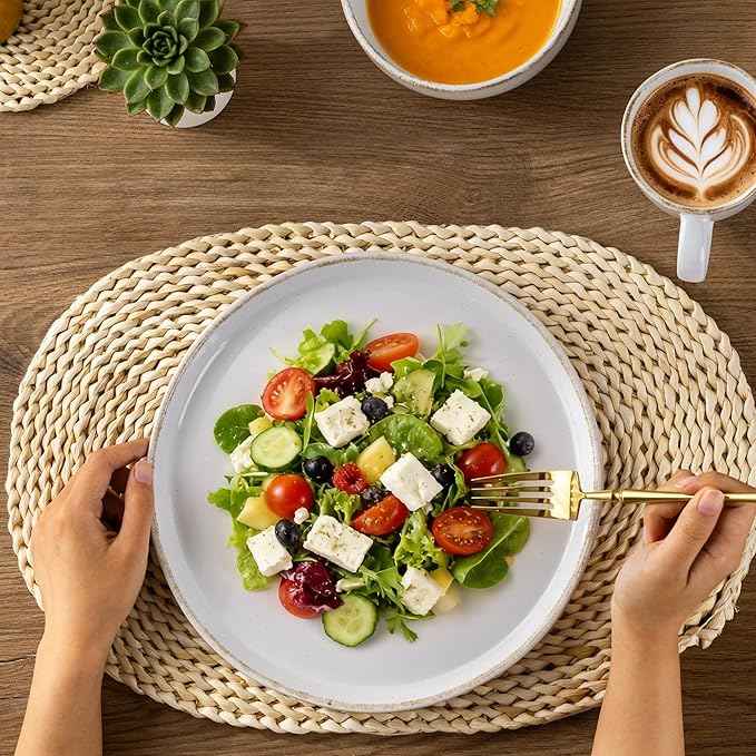 AmorArc Dinnerware Sets for 6, 18 Pieces Stoneware Plates and Bowls Set with Handbrush Rim, Scratch Resistant Dishes Set, Dishwasher & Microwave Safe, White