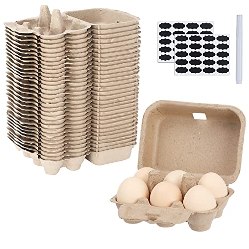 Egg Cartons Bulk