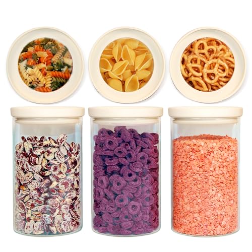 Glass Food Storage Jar with Glass Lid