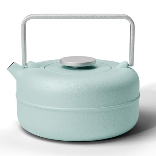 Cast Iron Teapot
