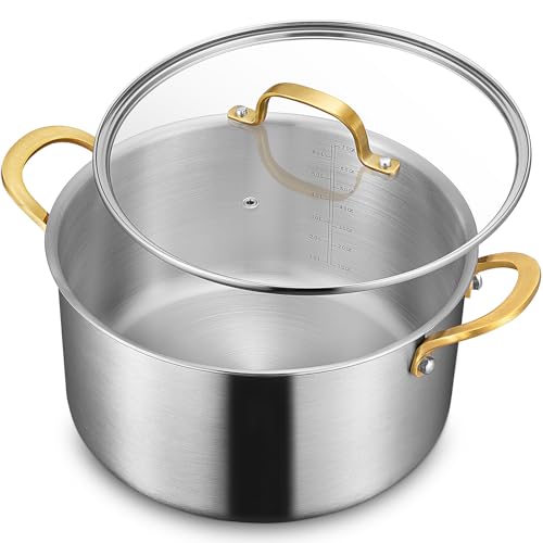 Stainless Steel Stock Pot with Lid Silver