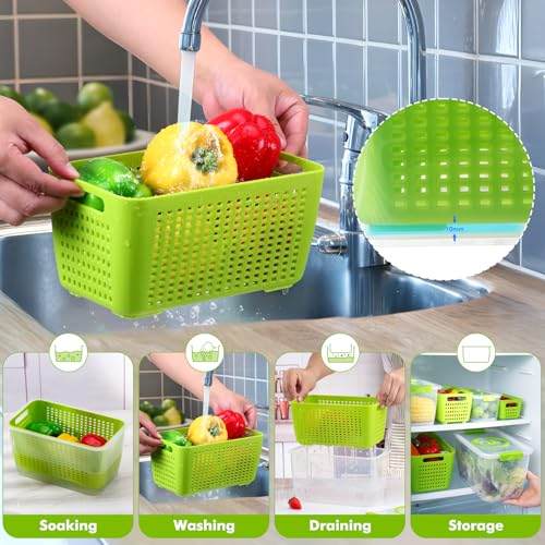 fruit containers diswasher safe