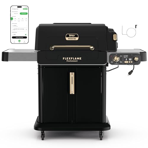 FlexFlame Grill and Smoker